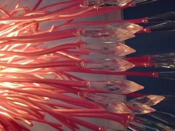 CSI Coimbra Club & Guest House