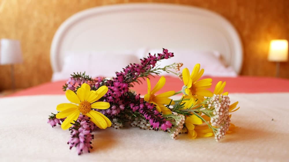 Laranjalimao Guest House