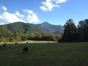 Pisgah View Ranch