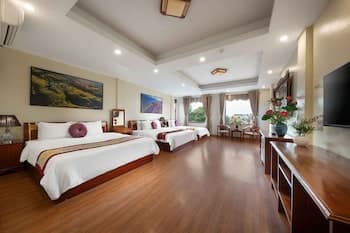 Viet Village Hotel & Travel