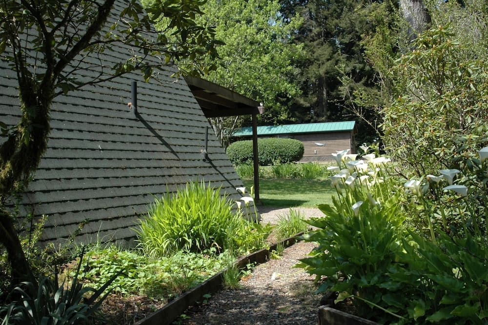 Park Motel and Cabins