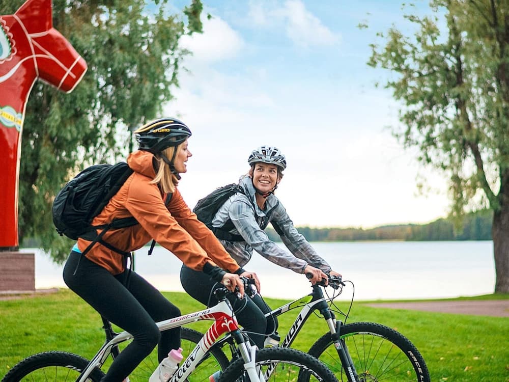 12 Person Holiday Home in Idre