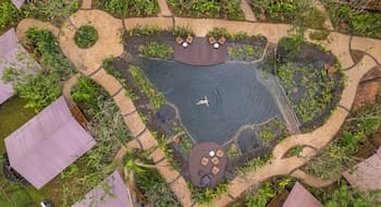 Tocu Tent Camp - All Meals Included