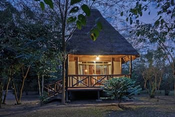 Ishasha Jungle Lodge