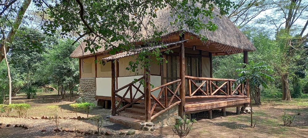 Ishasha Jungle Lodge