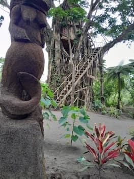 Glowing view tree house and Bangalow