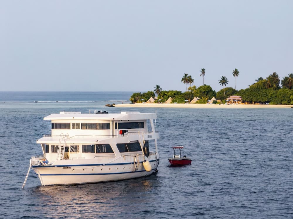 The Maverick Surf and Dive Boutique Hotel