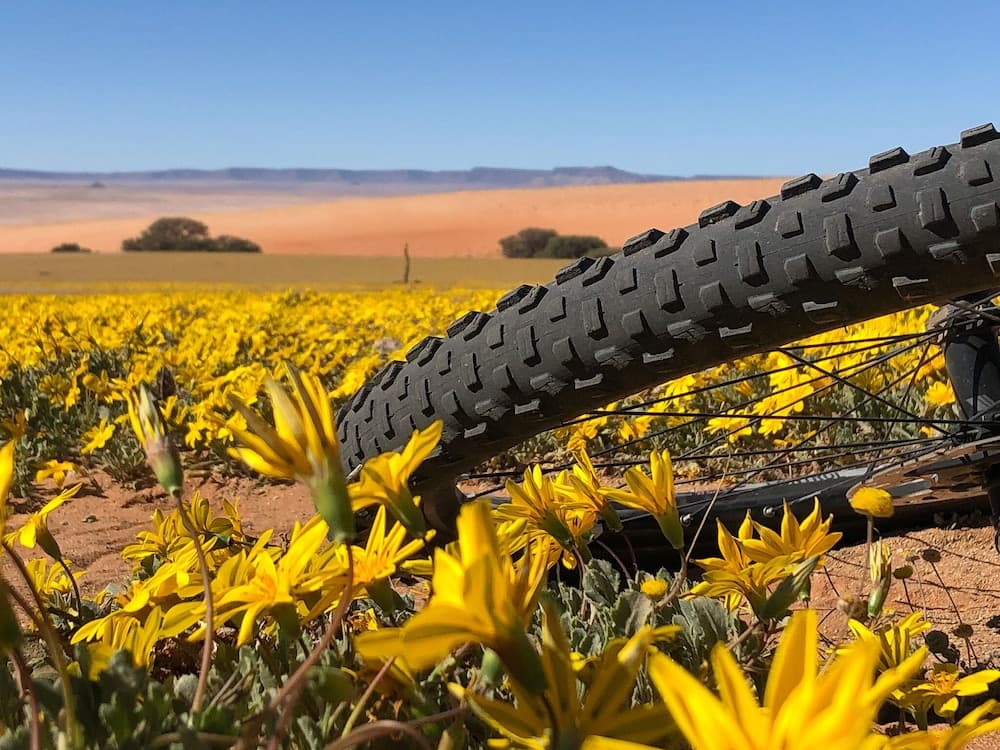 Klein-Aus Vista Desert Horse Campsite