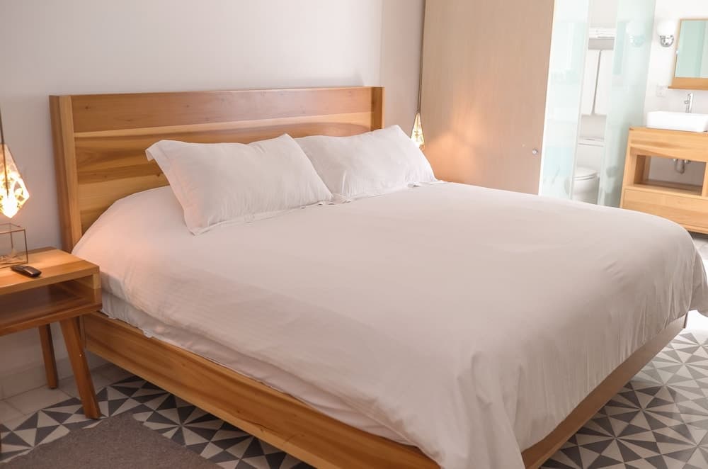 Hotel Casa Nuevo Leon