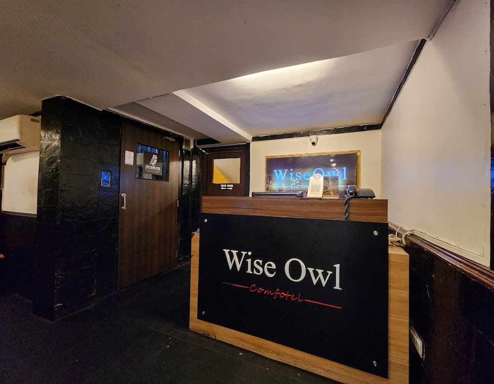 Wise Owl Comfotel