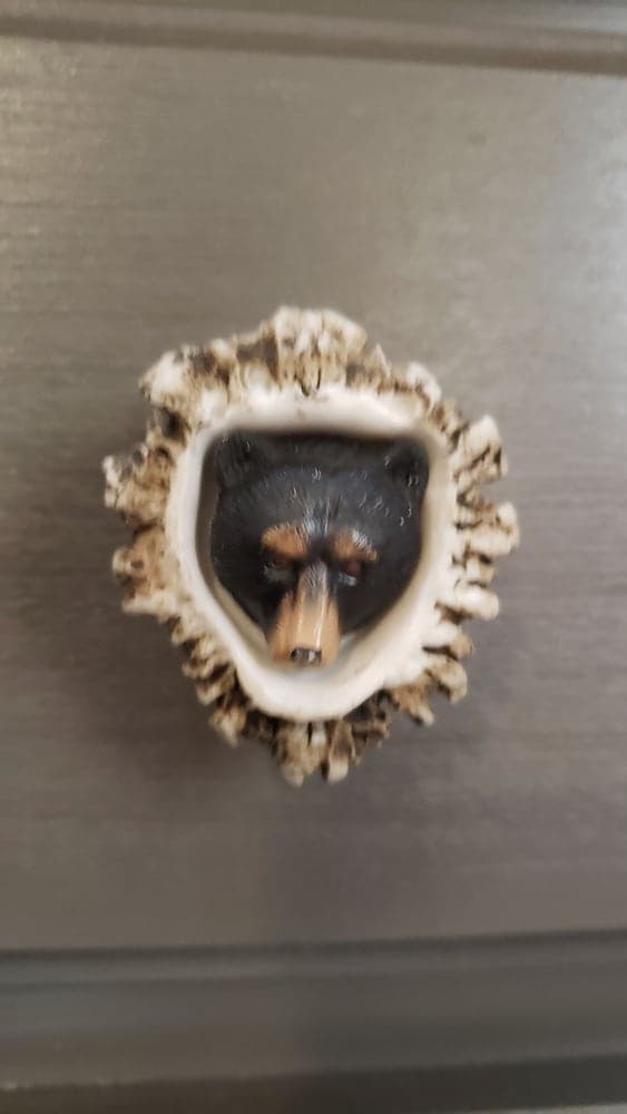 Mooseberry Cabin, Willow AK