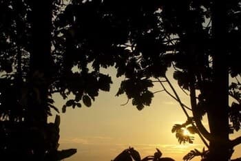 La Fuente del Amazonas Lodge