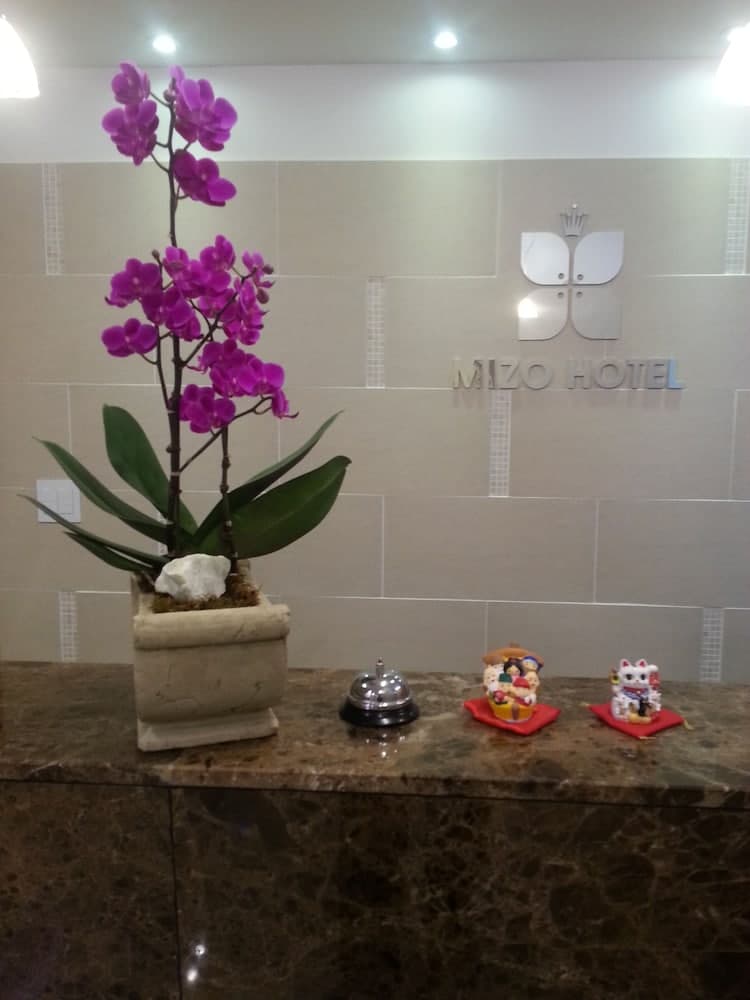 Mizo Hotel