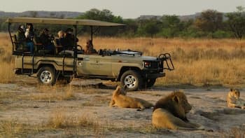 Honeyguide Ranger Camp