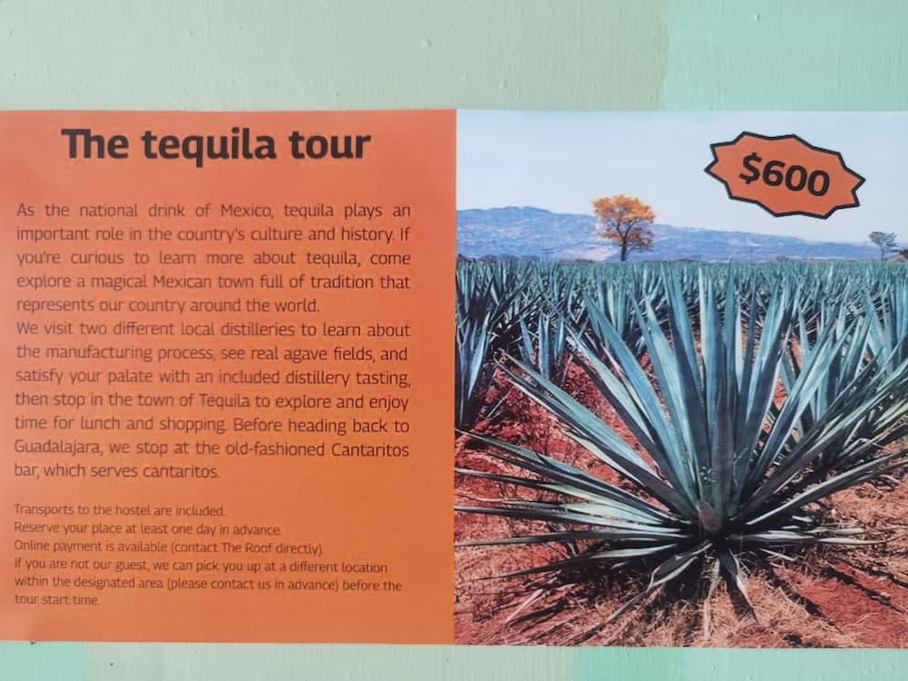 The Roof Backpackers Hostel