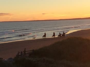 Moonlight Beach Suites