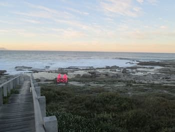 The Potting Shed Self Catering