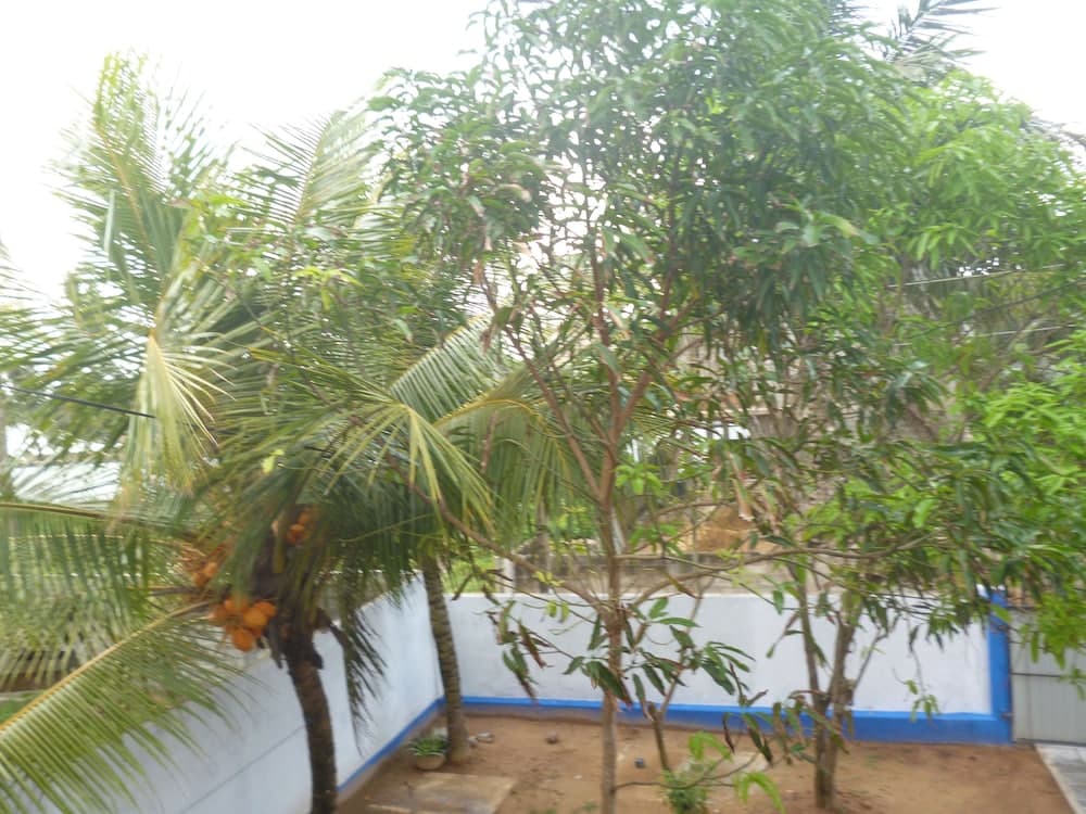 Sea View Paradise Inn