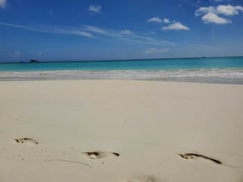 Cote d'Or Footprints