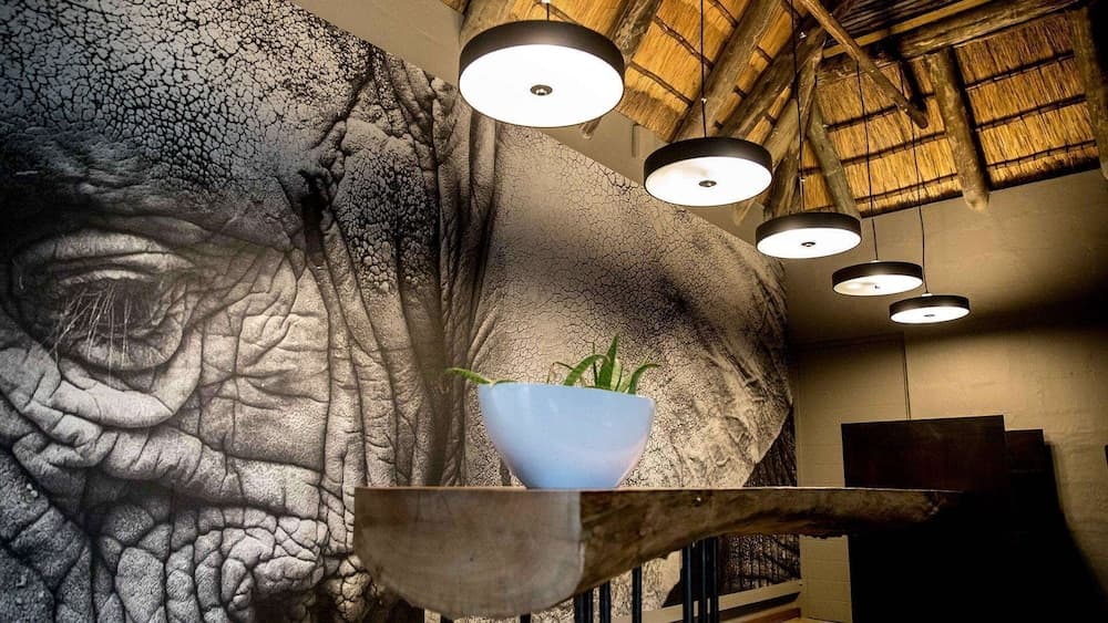 Royal Thonga Safari Lodge