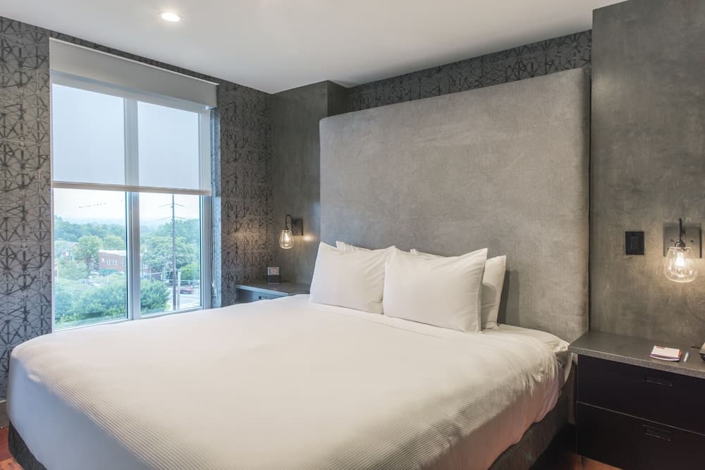 DoubleTree by Hilton Asheville Downtown