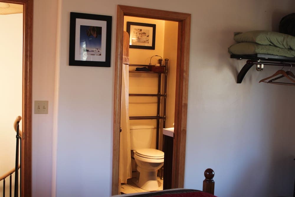 Out of the Wild Stone Hut