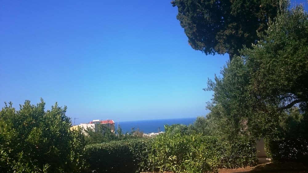 Amazones Sun Studios