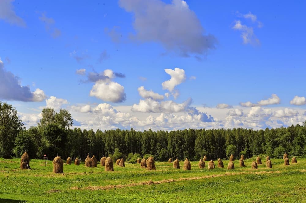 Bed & Breakfast Hepokatti