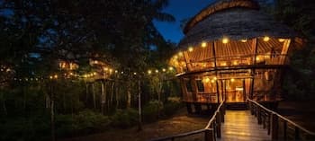 Treehouse Lodge