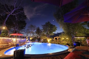 Discovery Island Resort