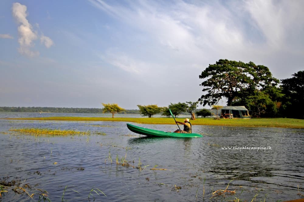 The Yala Camping