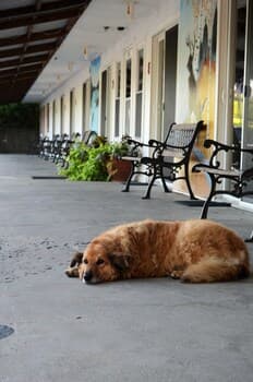 Little River Inn Motel & Guest House
