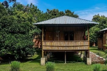 The Roots Eco Resort