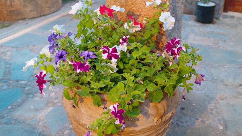 Camelot Royal Beds by Estia