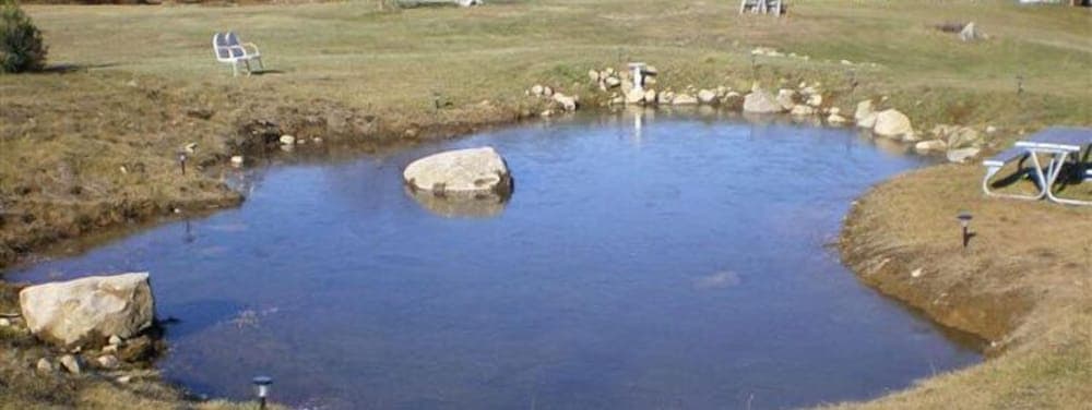 Alynn's Butterfly Inn Bed & Breakfast