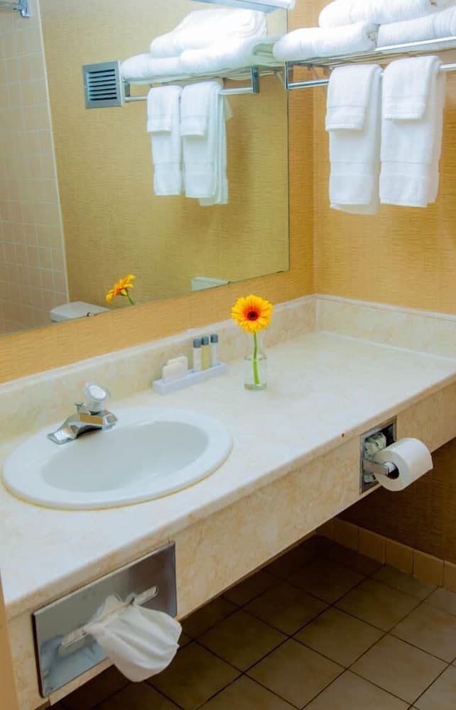 Newark Garden Finger Lakes Hotel