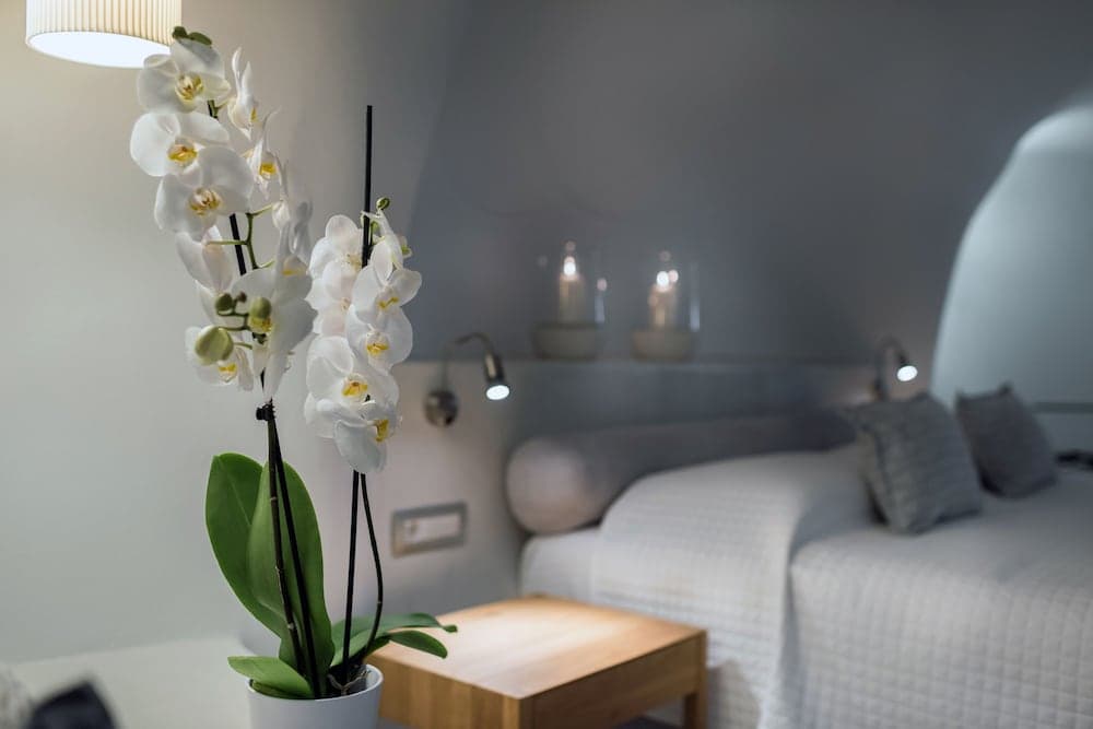 Damigos Caldera World