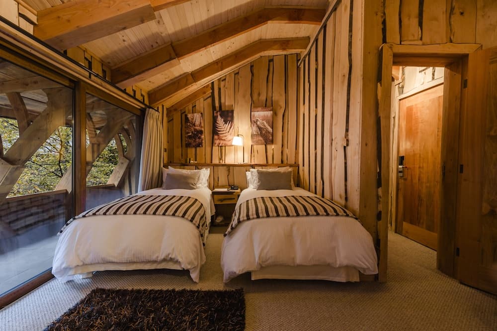 Huilo Huilo Reino Fungi