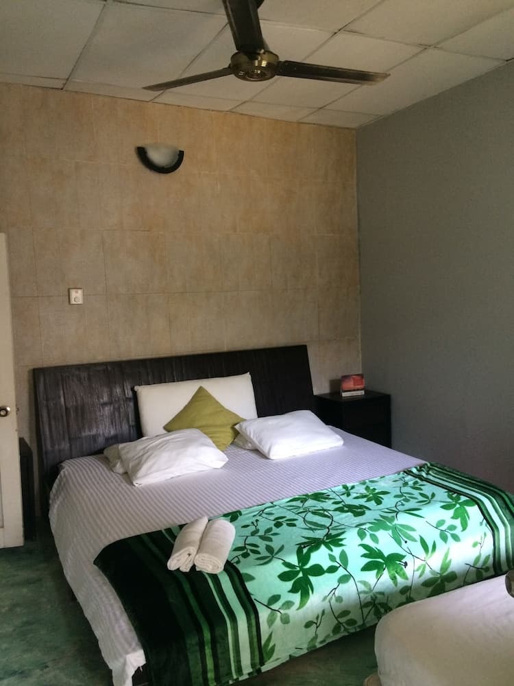 Hostel Green House Coffee - Bar