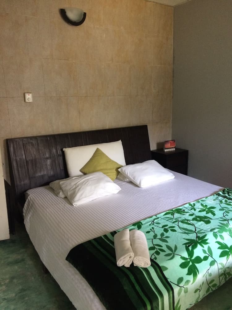 Hostel Green House Coffee - Bar