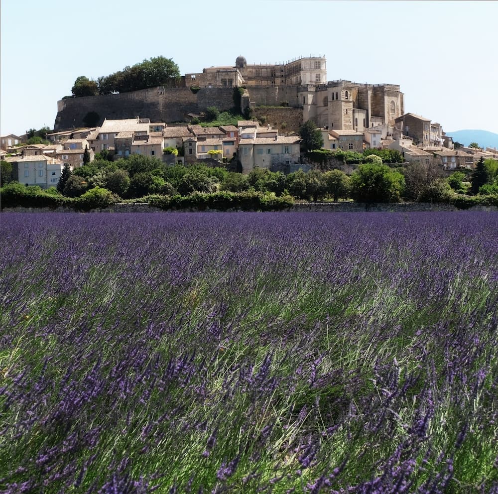 La Ferme Chapouton - Teritoria