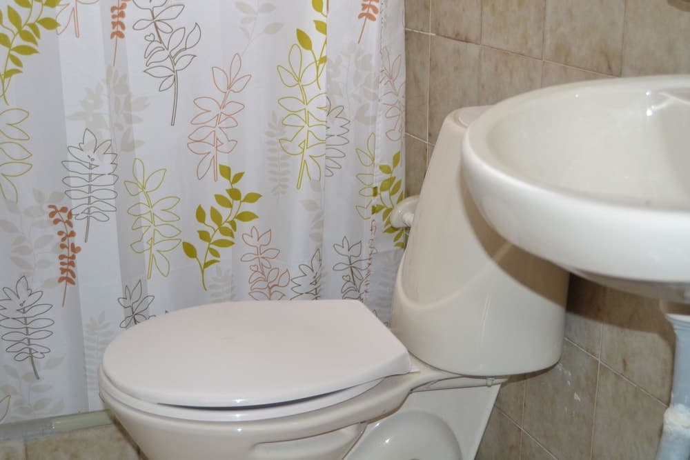 Posada Las Bromelias