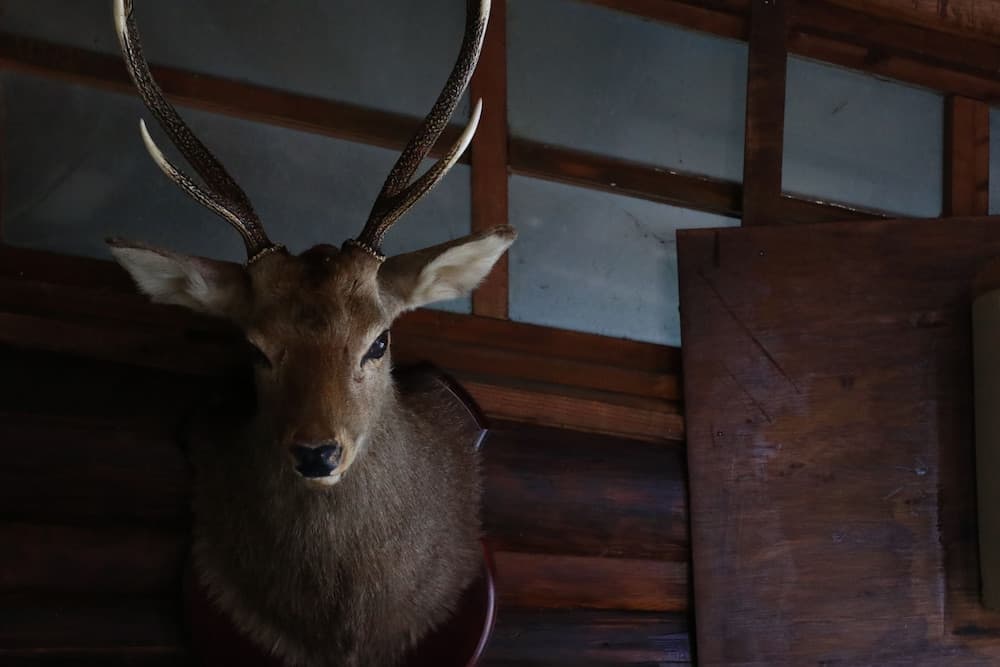 Minshuku Iwananosato