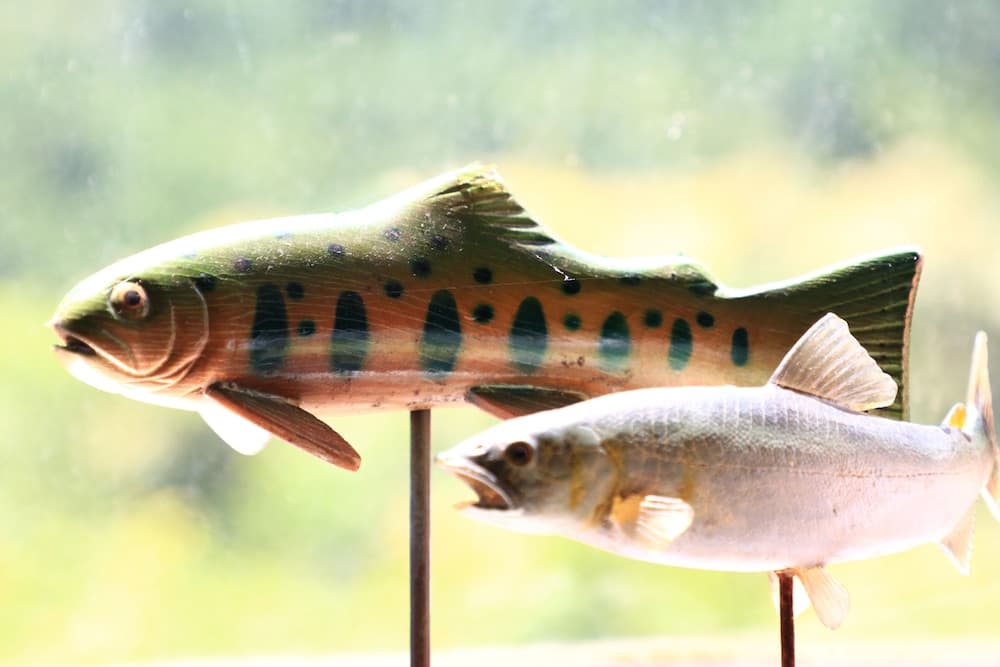 Minshuku Iwananosato