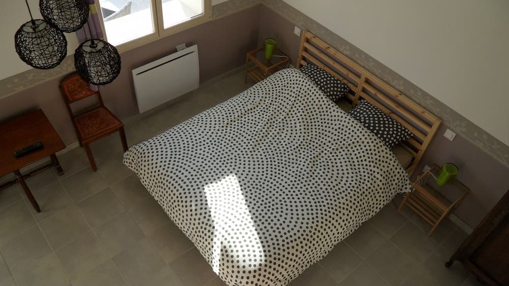 Les Ânes de Forcalquier