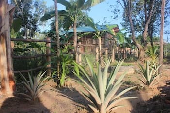 Pepper Farm Phu Quoc Bungalow