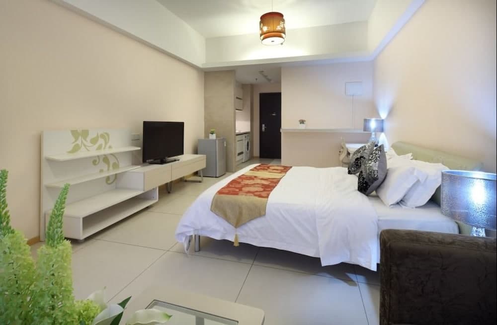 Central international apartment