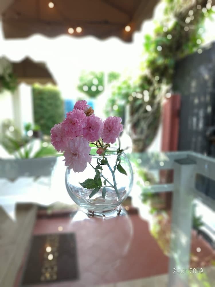 Via Emilia Bed and Breakfast Restaurante