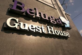 Beluga Guest House - Hostel
