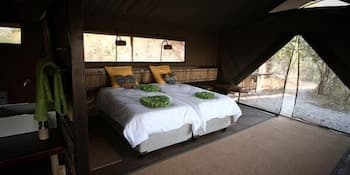 Jackalberry Tented Camp
